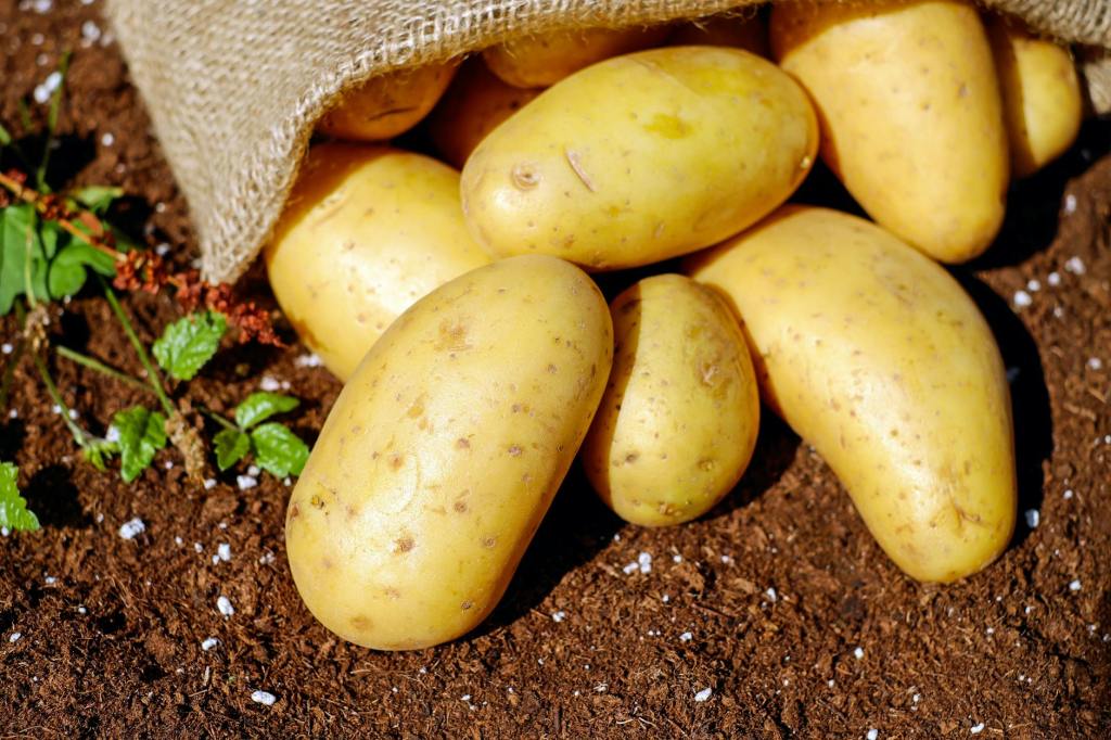 Spuds in a Tub: Grow Potatoes Indoors, No Garden&nbsp;Required!