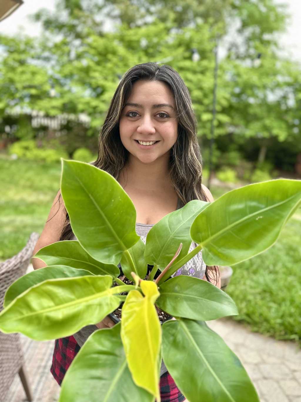 My Plant Care Journey: Why I Created Happy Plant&nbsp;Haven